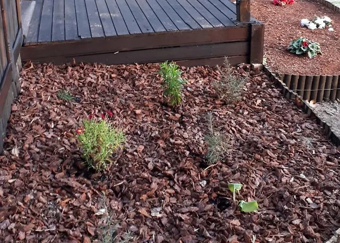 Casinha Do Cedro Chalet Baião