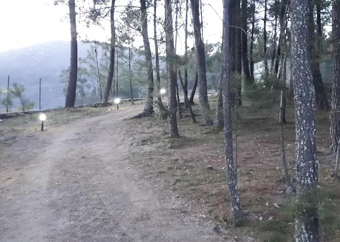 Alpesi faház Casinha Do Cedro