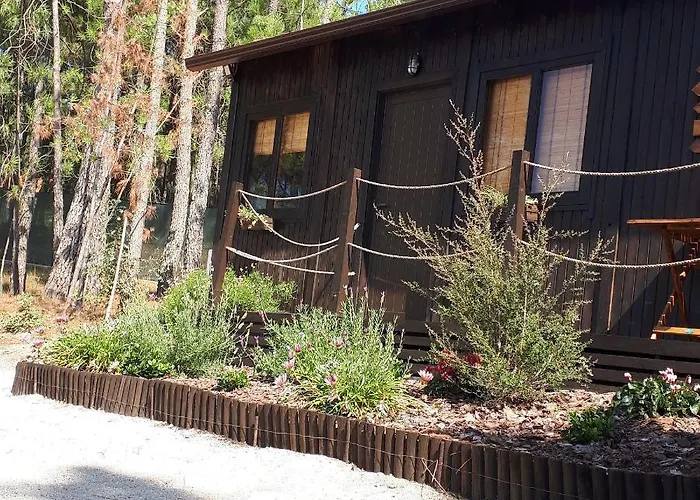 Casinha Do Cedro * Baião