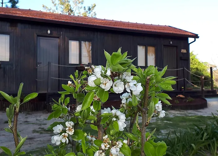 Casinha Do Cedro * Baião